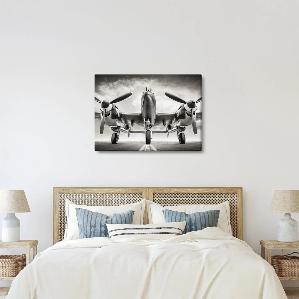 Obraz - Warbird (70x50 cm)