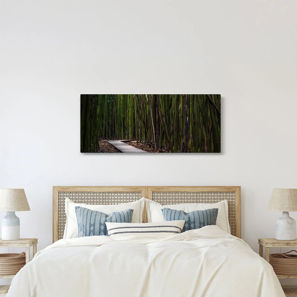 Obraz - Medzi bambusy (120x50 cm)