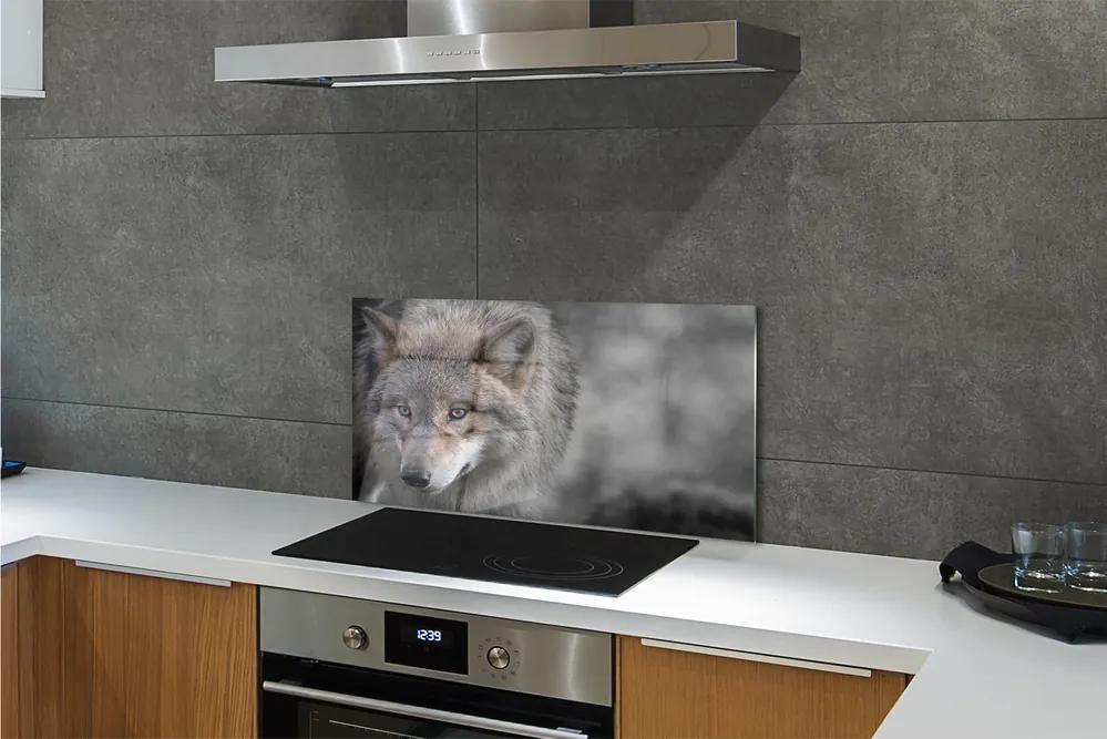 Nástenný panel  vlk 125x50 cm