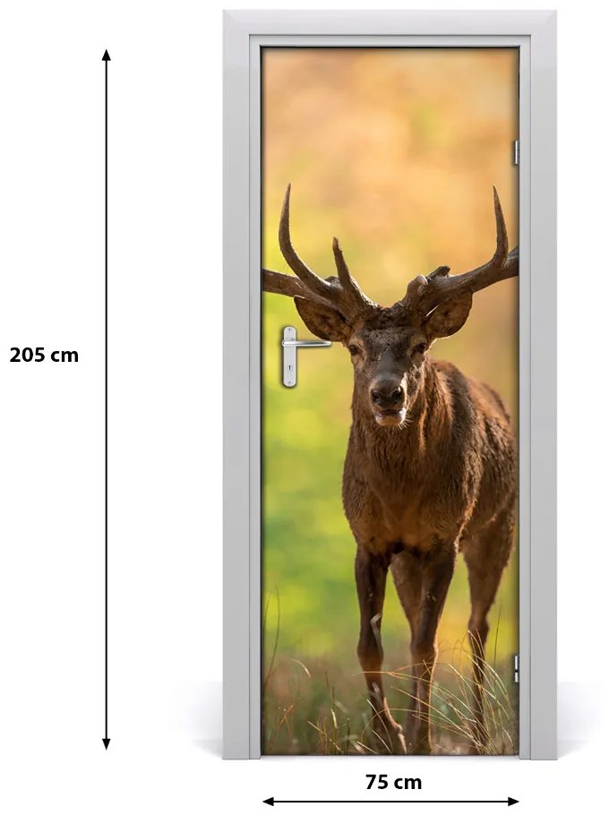 Fototapeta samolepiace na dvere jeleň v lese 75x205 cm