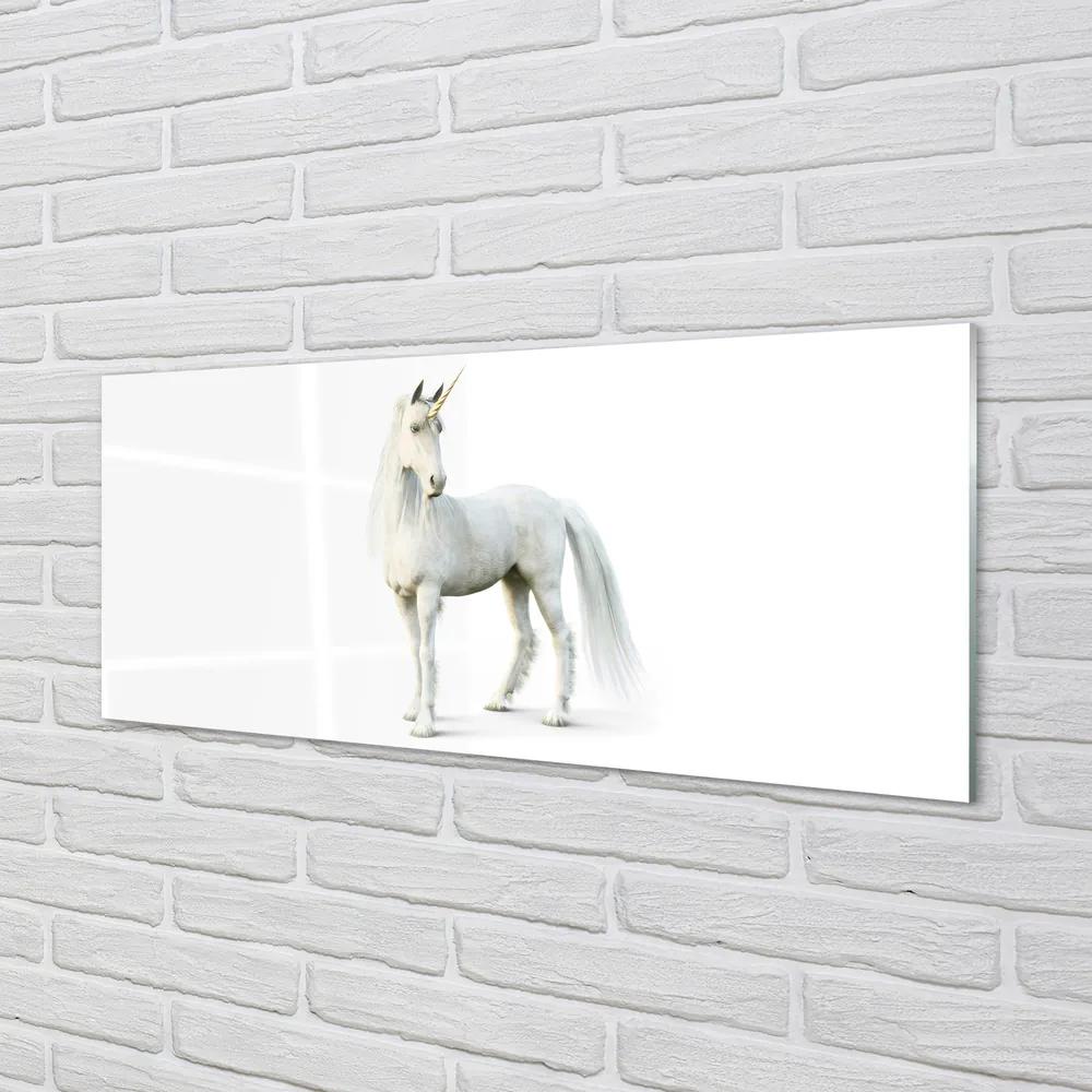 Obraz na akrylátovom skle Biely jednorožec 120x60 cm