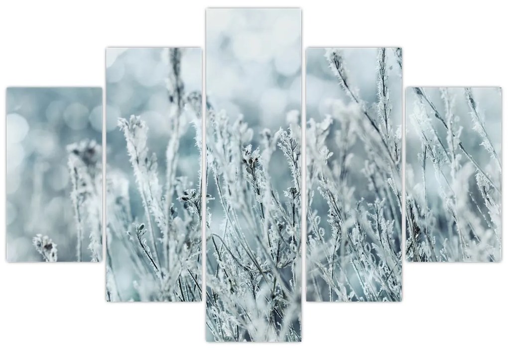 Obraz - Kúzlo zimy (150x105 cm)