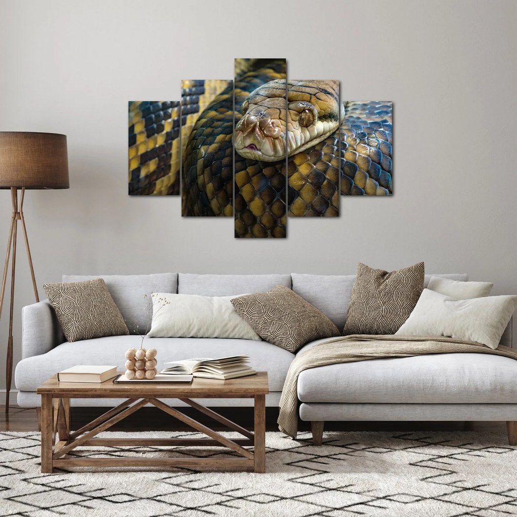 Obraz - Pytón (150x105 cm)