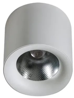 LED bodové svetlo Mane 20W Dimm biele