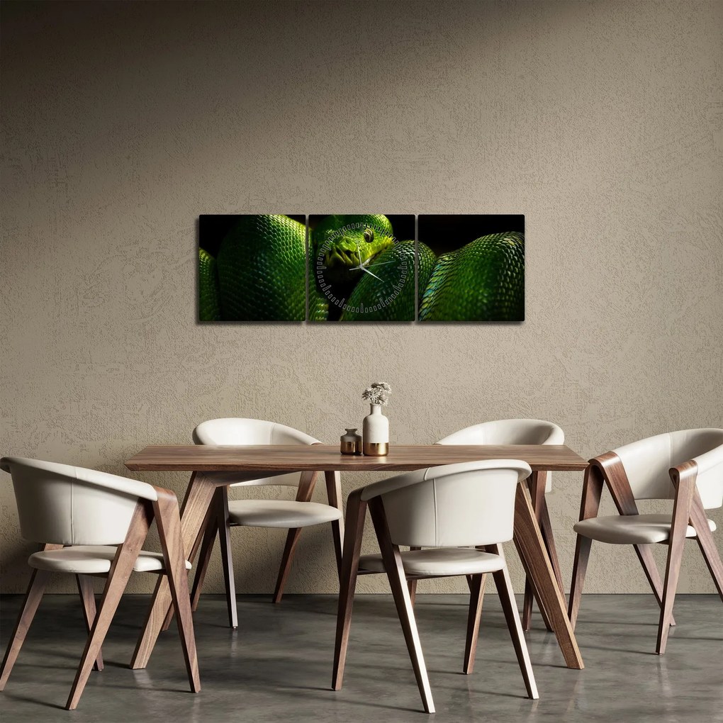 Obraz - Zelený had (s hodinami) (90x30 cm)