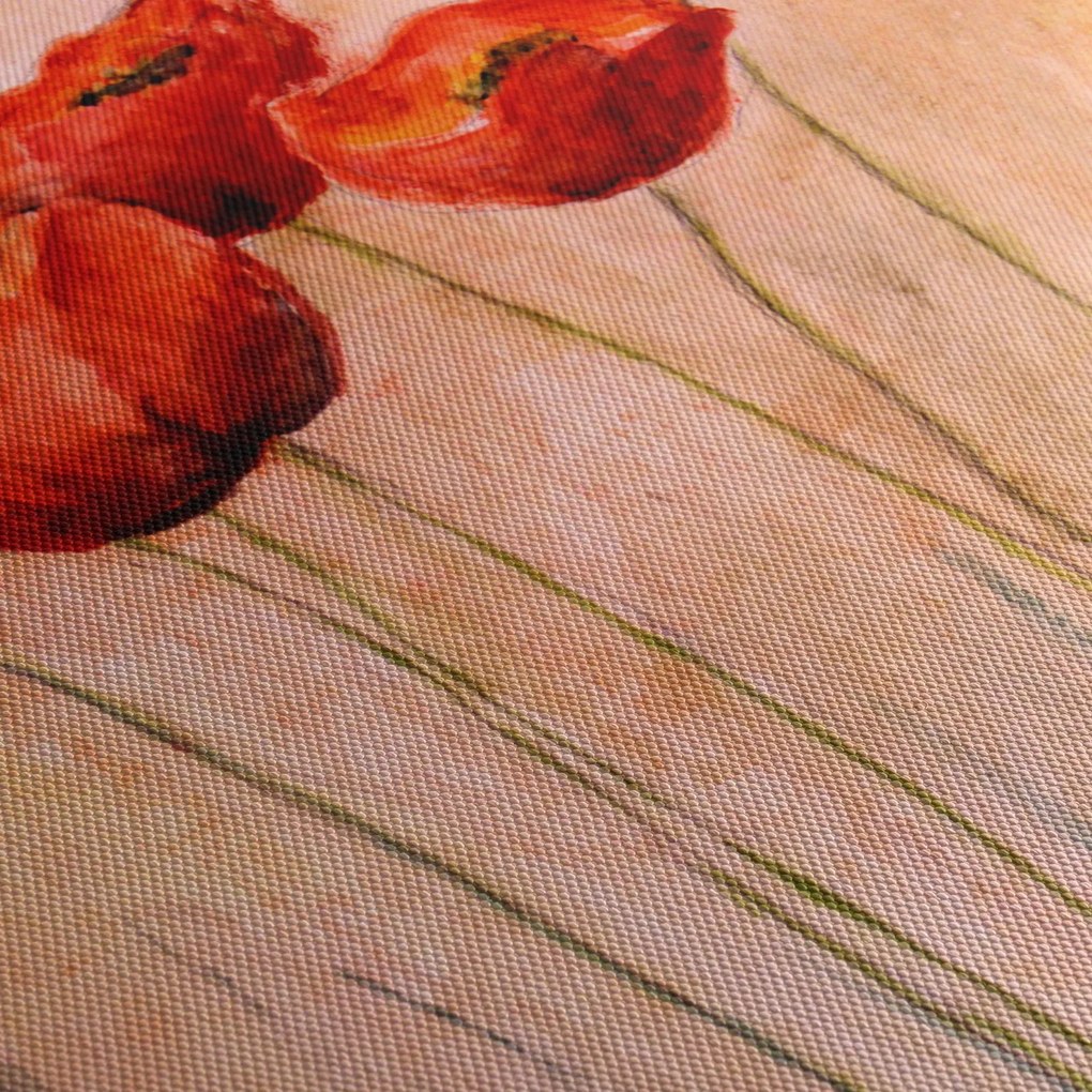 Obraz - Červené tulipány (150x105 cm)