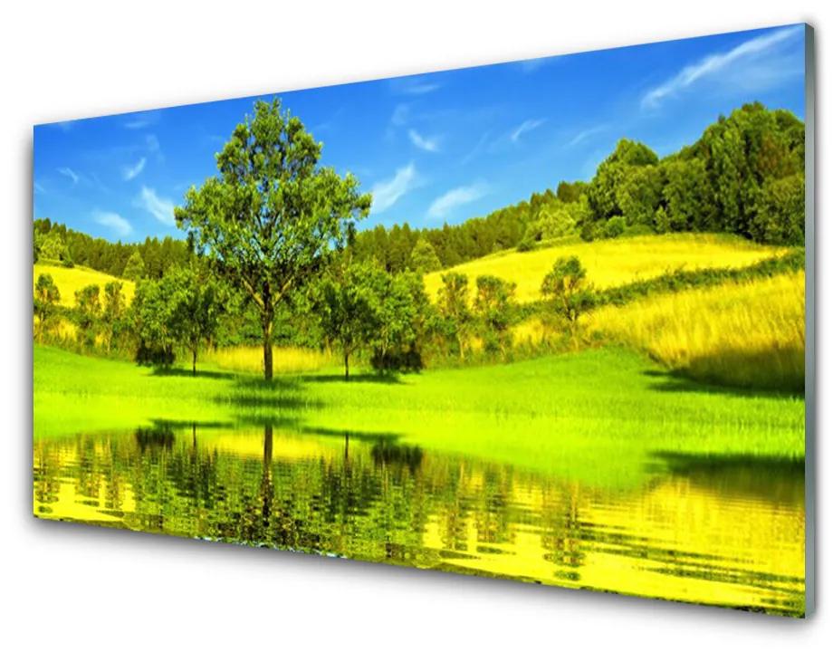 Obraz plexi Lúka strom príroda 140x70cm