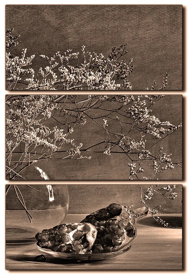 Obraz na plátne - Zátišie - vetva a granátové jablko - obdĺžnik 7274FB (120x80 cm)