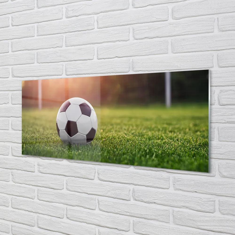 Obraz plexi Futbal tráva gateway 120x60 cm