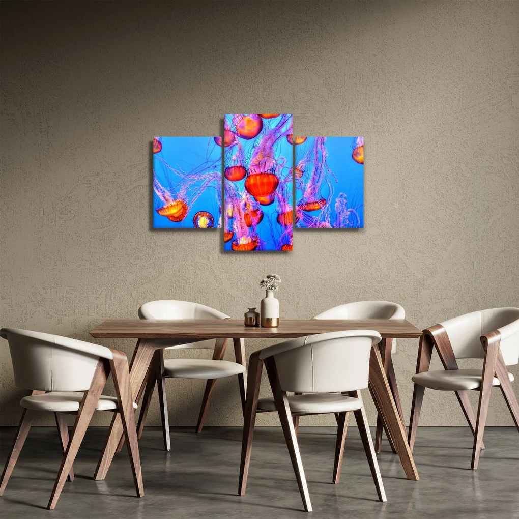 Obraz medúz v mori (90x60 cm)