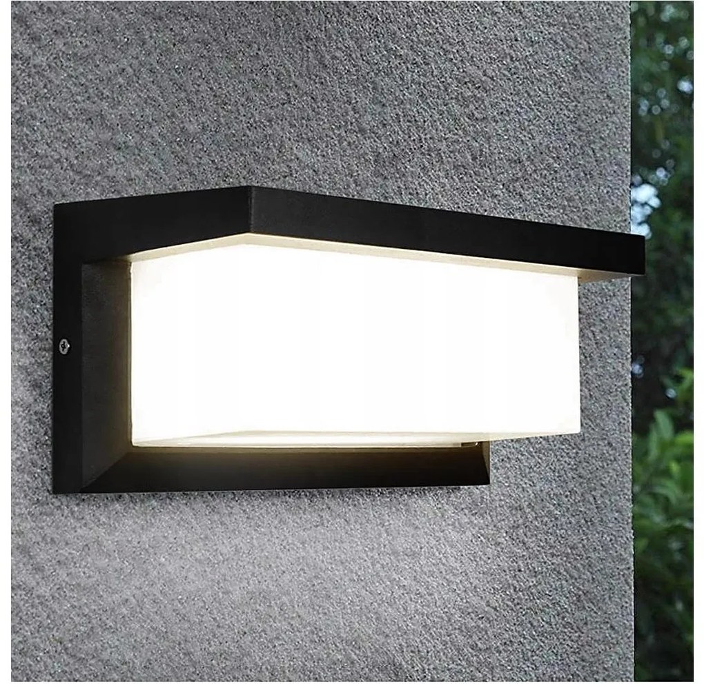 BOWI LED Vonkajšie nástenné svietidlo NEELY LED/12W/230V 4000K IP54 antracit BW0386