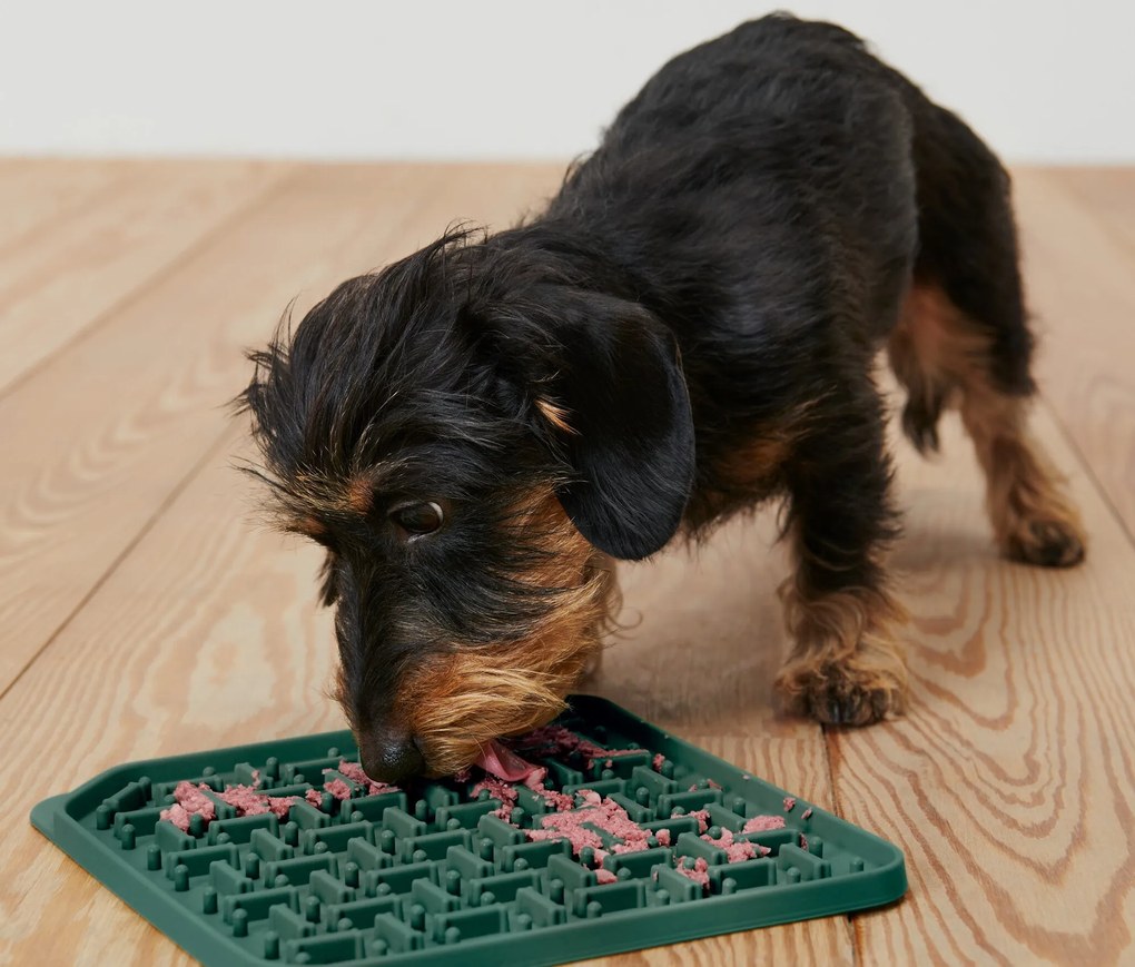 Podložka na kŕmenie