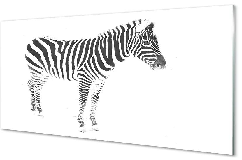 Nástenný panel  maľované zebra 125x50 cm