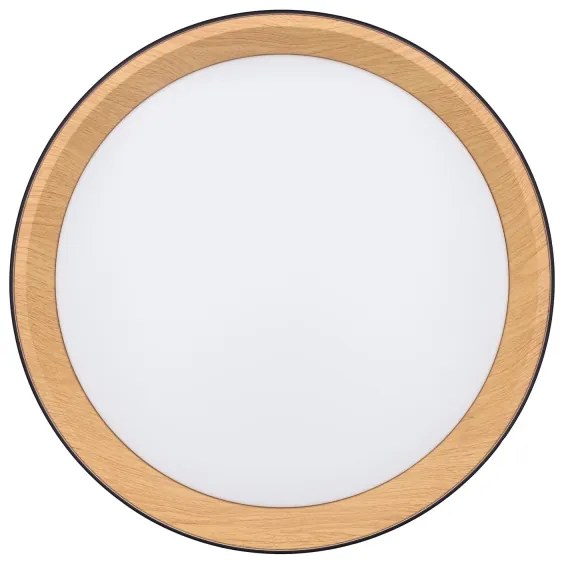 Solight WO8016 - LED Stm. strop. svietidlo LARIOS LED/48W/230V+DO pr.39 cm čierna