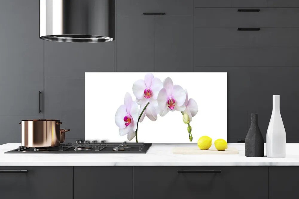 Sklenený obklad Do kuchyne Vstavač orchidea kvety 125x50 cm