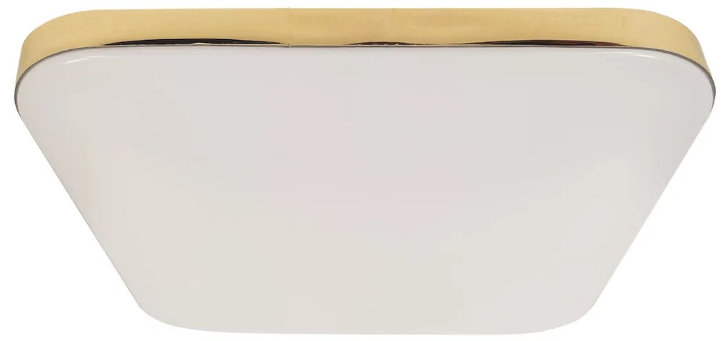 Stropné LED svietidlo Nemo, 1x LED 17w, 4000k, g