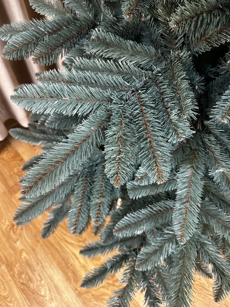 Jedlička strieborná 220cm