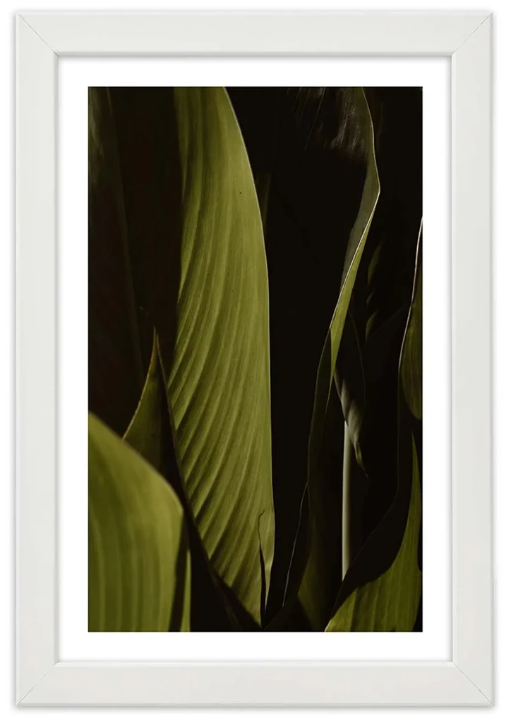 Gario Plagát Zelené listy trópov Farba rámu: Bez rámu, Rozmery: 40 x 60 cm