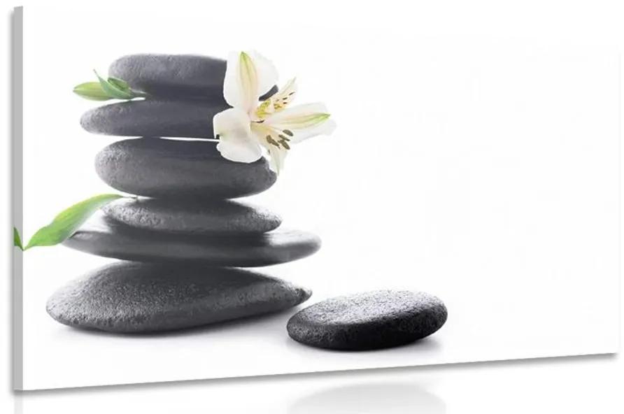 Obraz Zen kamene s ľaliou Varianta: 120x80