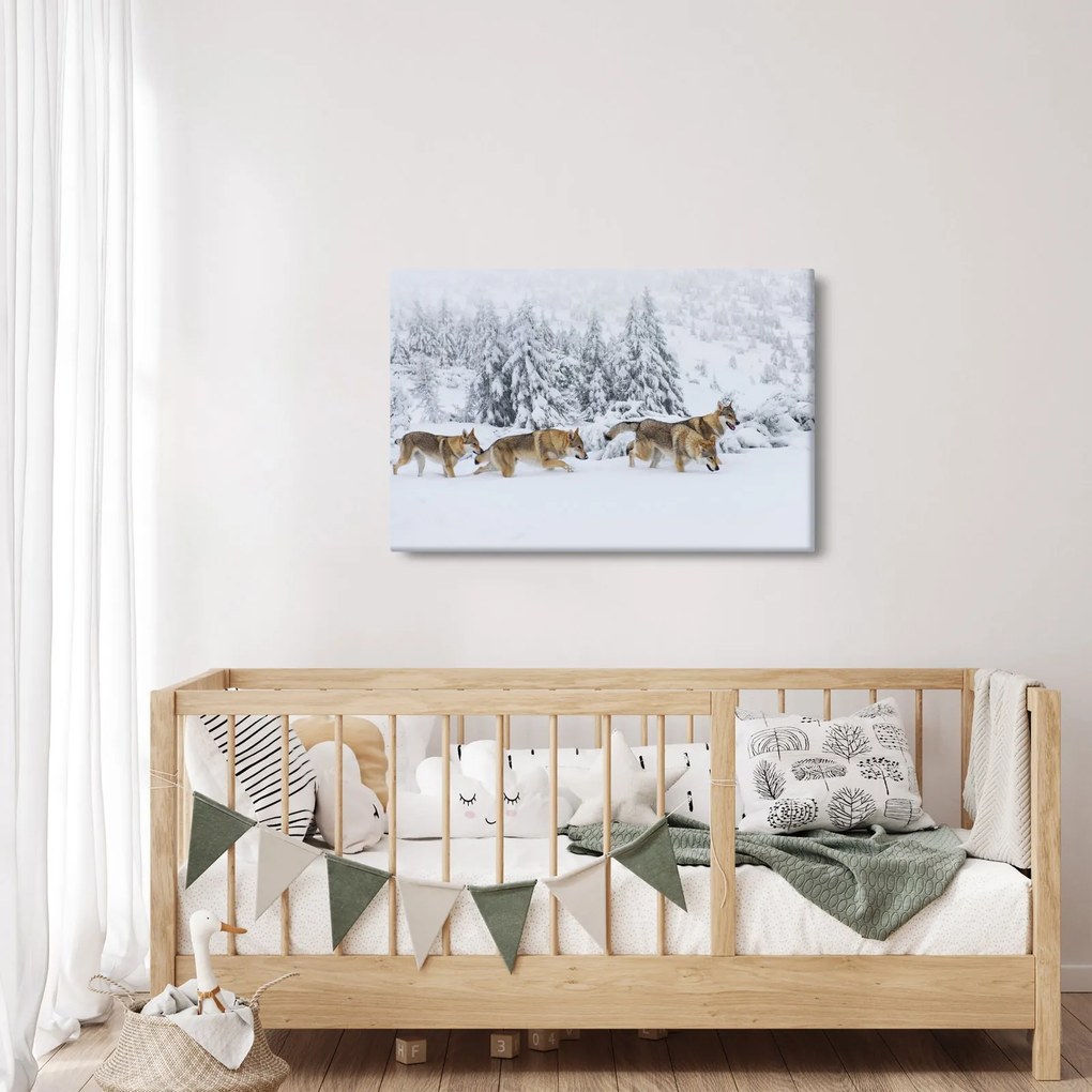 Obraz - Vlci v horách (90x60 cm)
