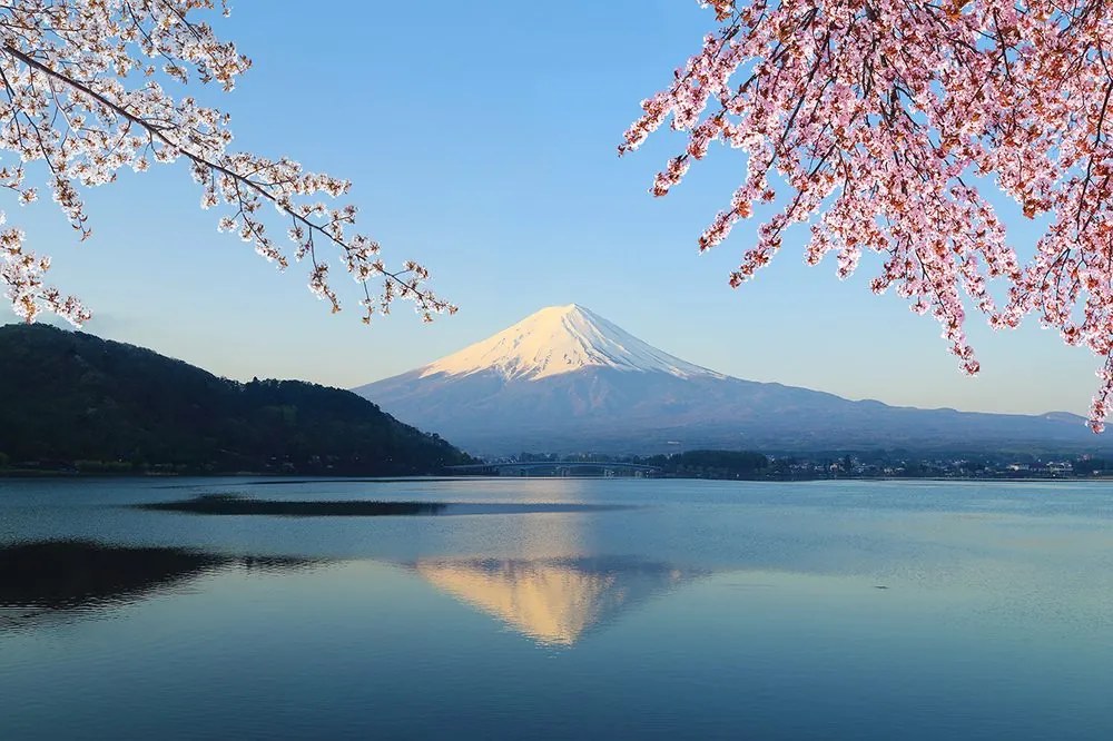 Samolepiaca fototapeta výhľad z jazera na Fuji