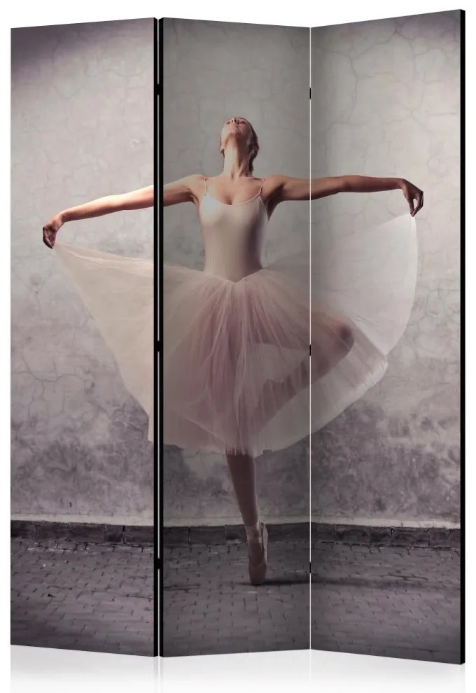 Artgeist Paraván - Classical dance - poetry without words [Room Dividers]