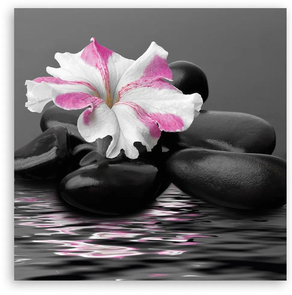 Obraz na plátně, Kameny růžové květ zen - 40x40 cm