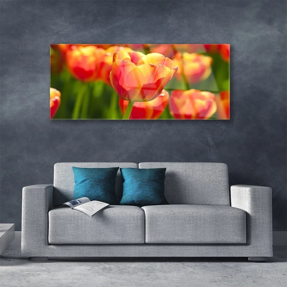 Obraz plexi Tulipány kvety rastlina 125x50 cm