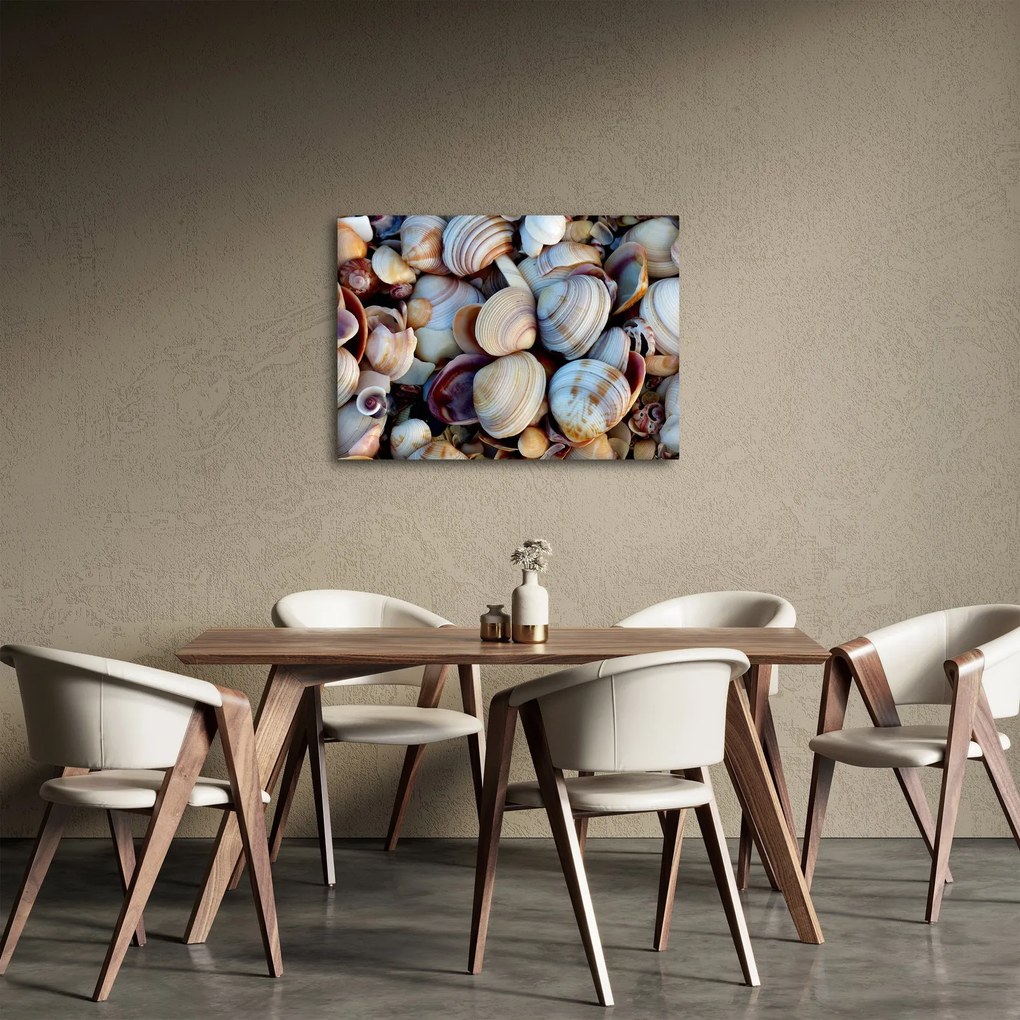 Obraz mušlí (70x50 cm)