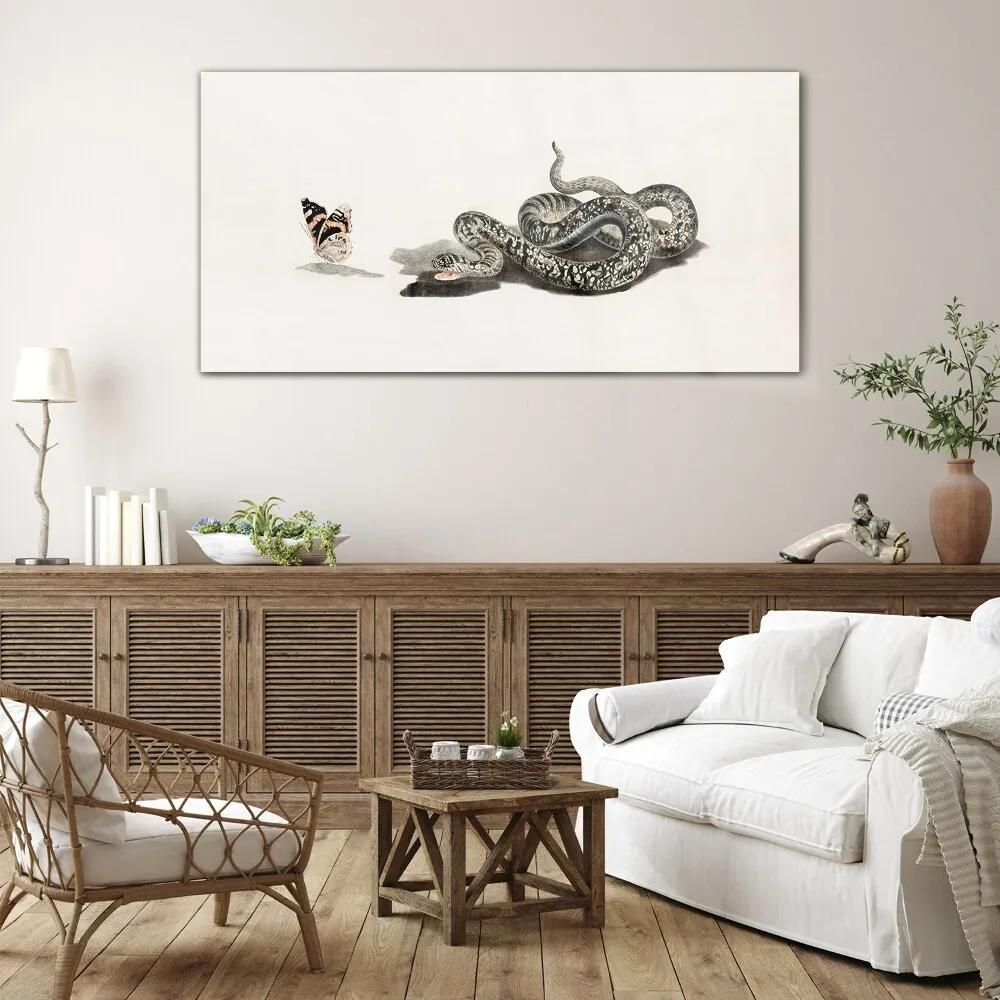 Obraz na skle Kreslenie zvieracie had motýľ