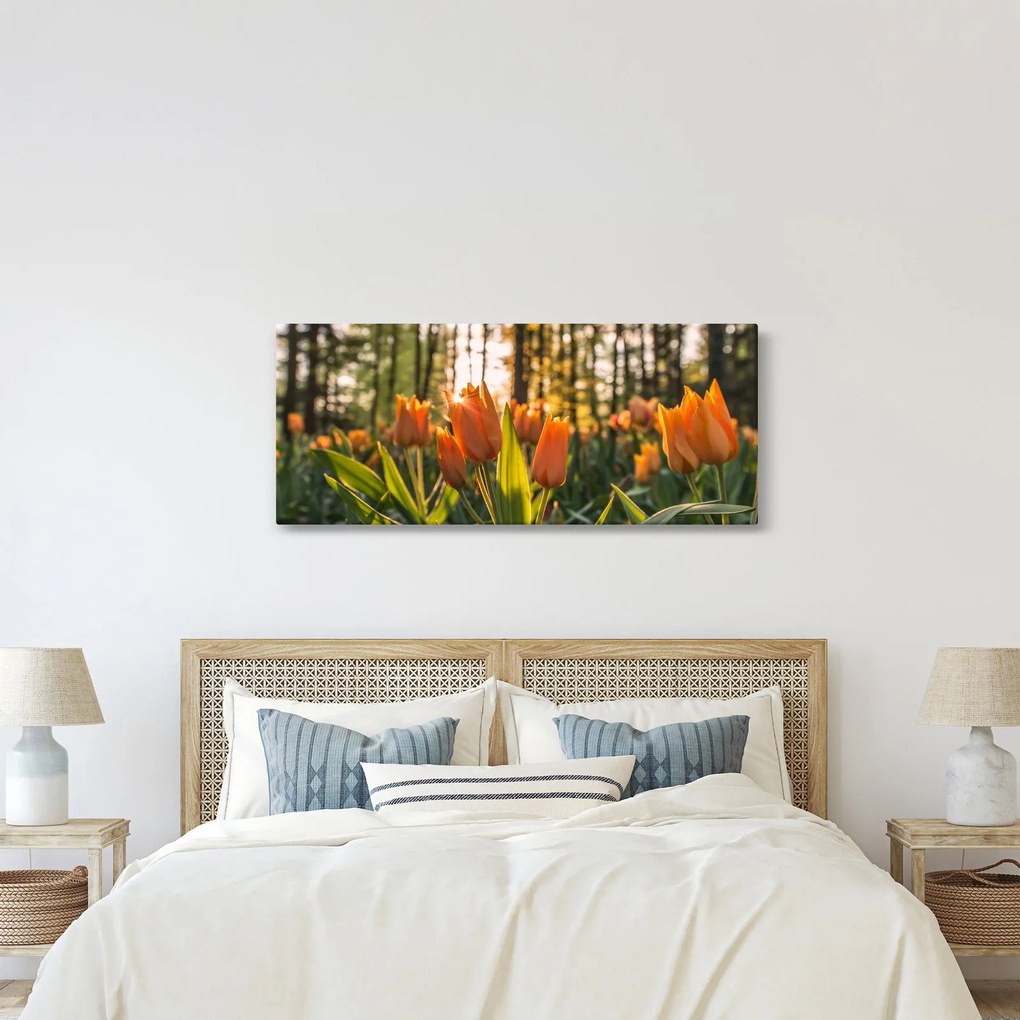Obraz - kvety tulipánov (120x50 cm)
