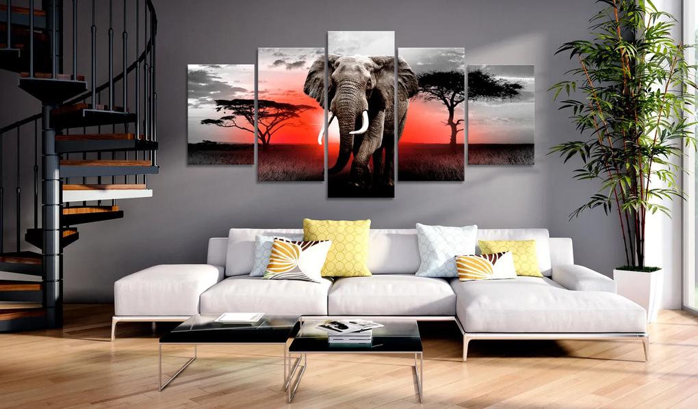 Artgeist Obraz - Lonely Elephant Veľkosť: 100x50, Verzia: Na talianskom plátne