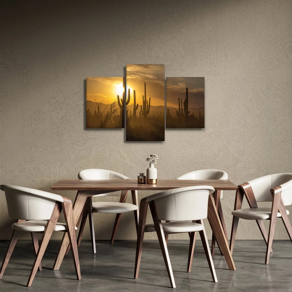 Obraz - Kaktusy Saguaro (90x60 cm)