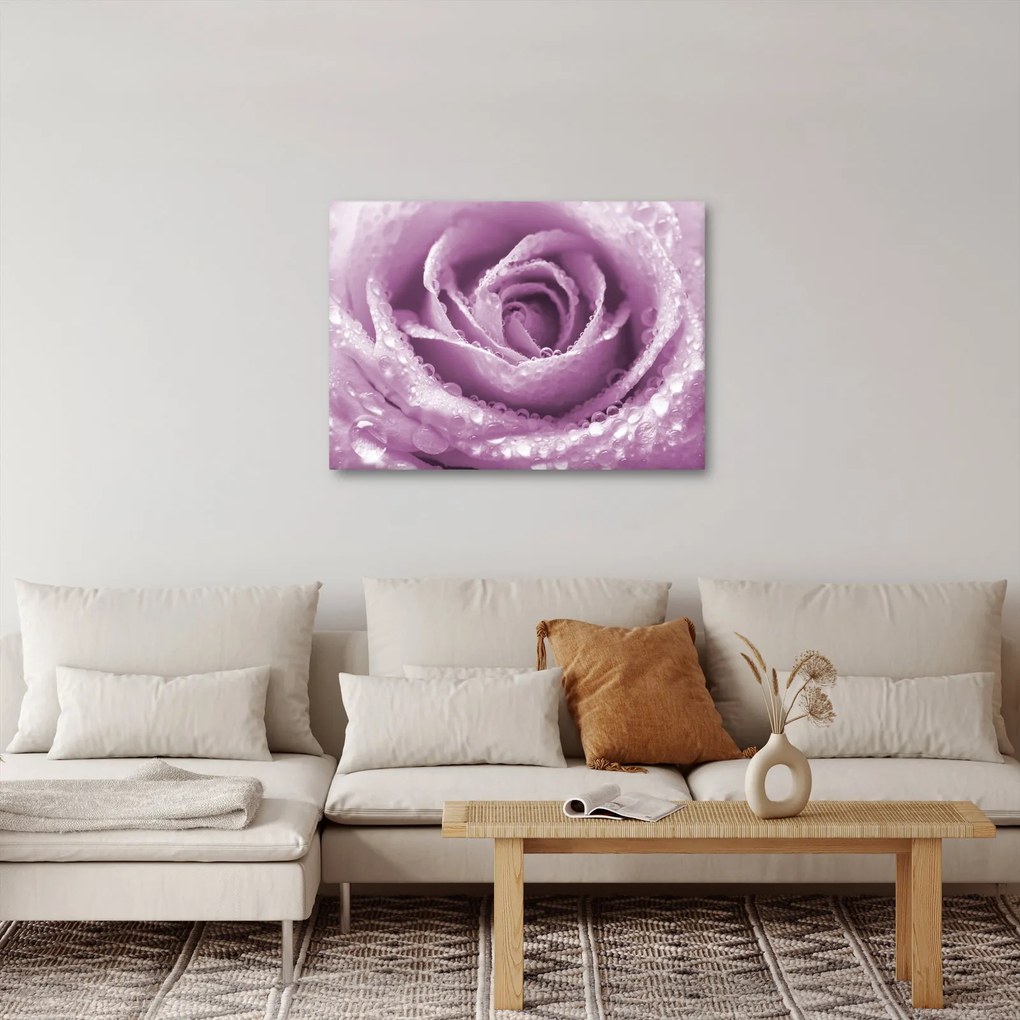 Obraz detailu kvetu ruže (70x50 cm)