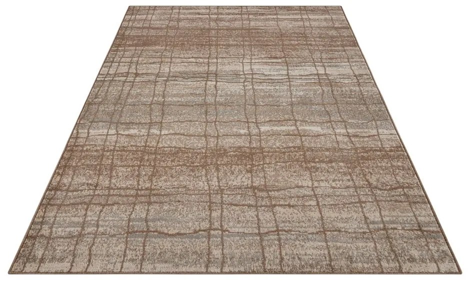 Hnedý/béžový koberec 120x170 cm Terrain – Hanse Home