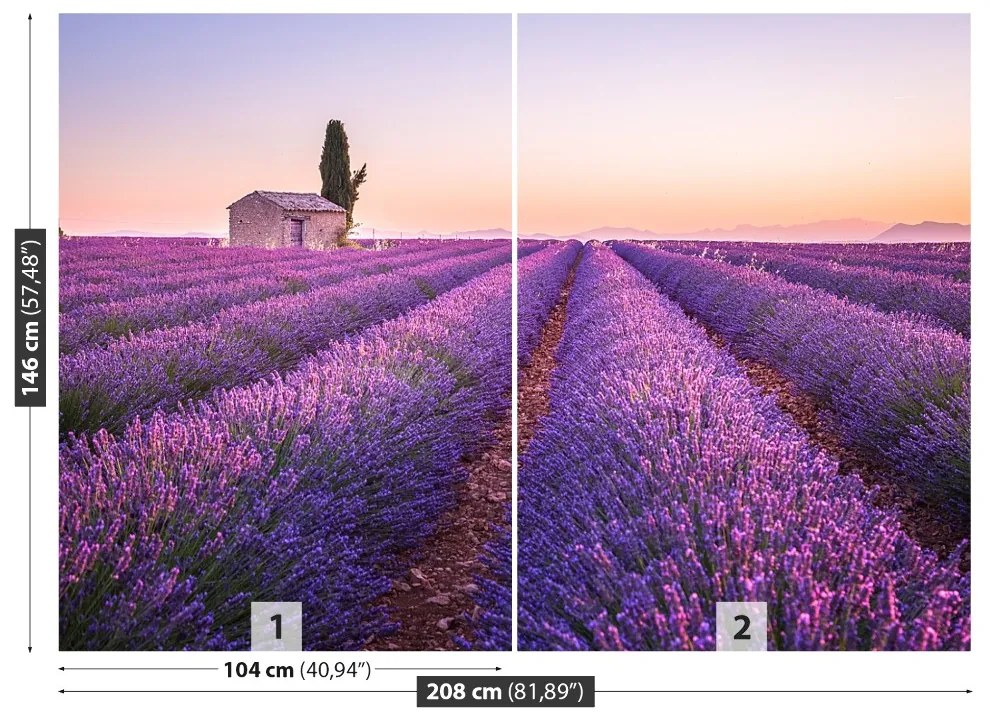 Fototapeta Vliesová Provence levandule 152x104 cm