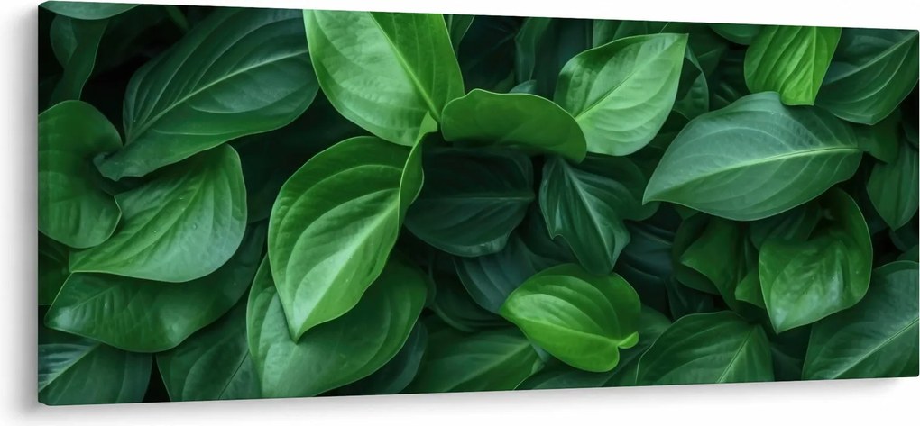 Obraz - Zelené listy (120x50 cm)