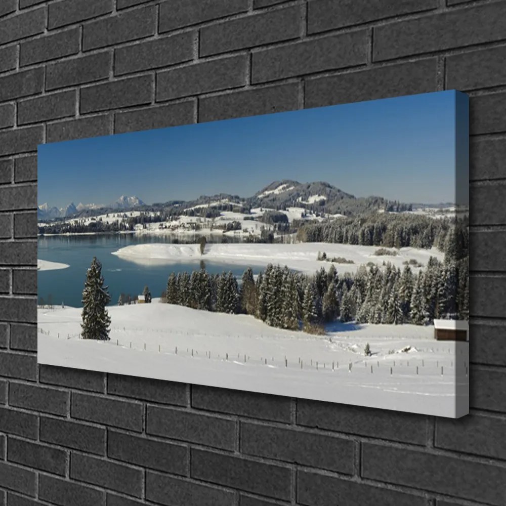 Obraz Canvas Jazero sneh príroda hory 120x60 cm
