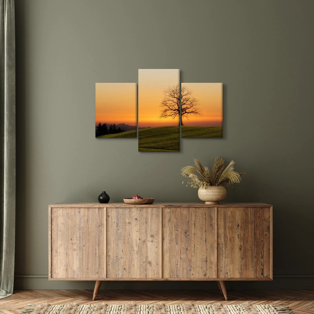 Obraz západu slnka na lúke (90x60 cm)