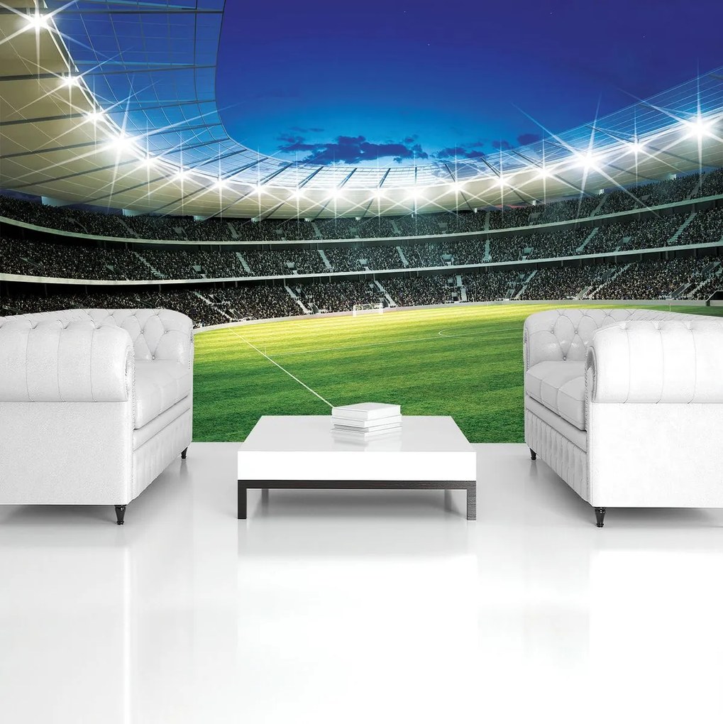 Fototapeta - Futbal (254x184 cm)