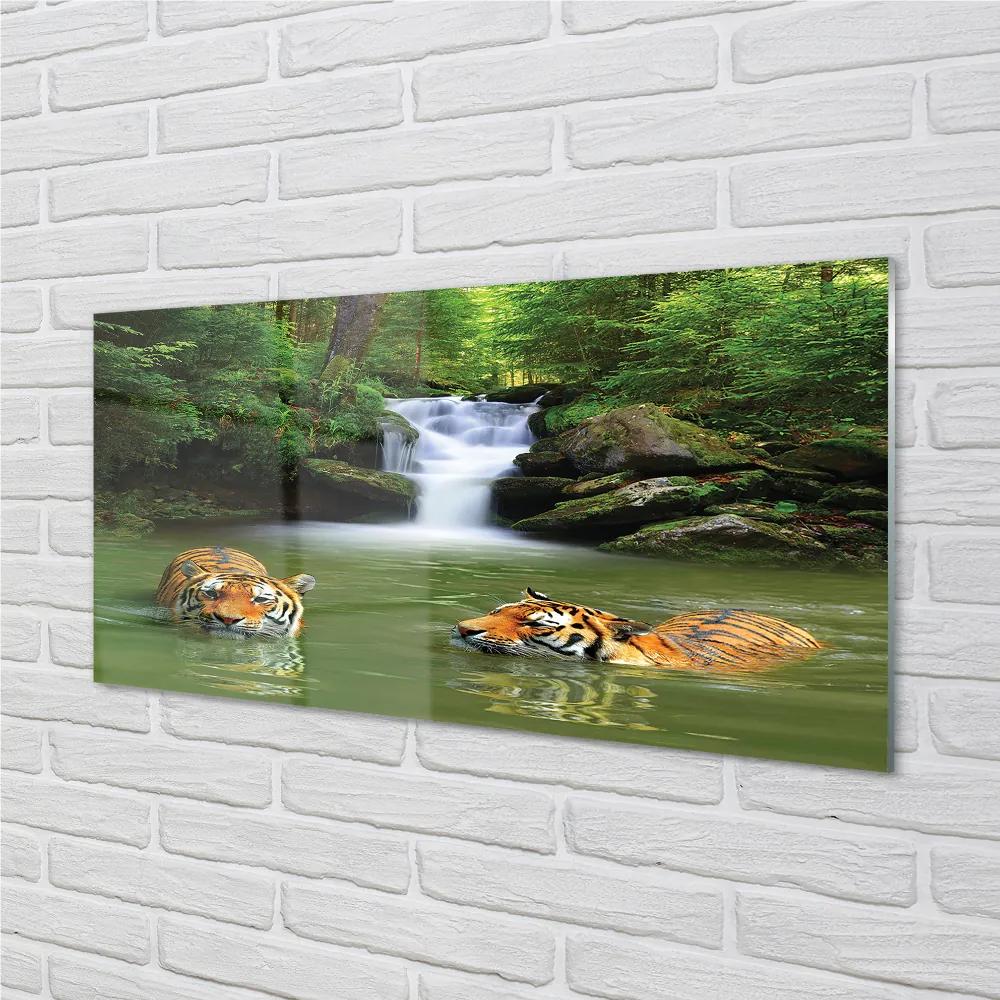 Obraz na akrylátovom skle Vodopád tigre 100x50 cm