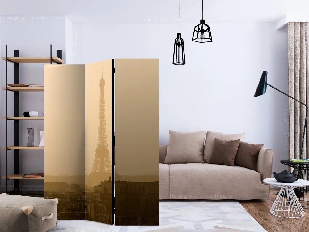 Artgeist Paraván - Paris at Dawn [Room Dividers]