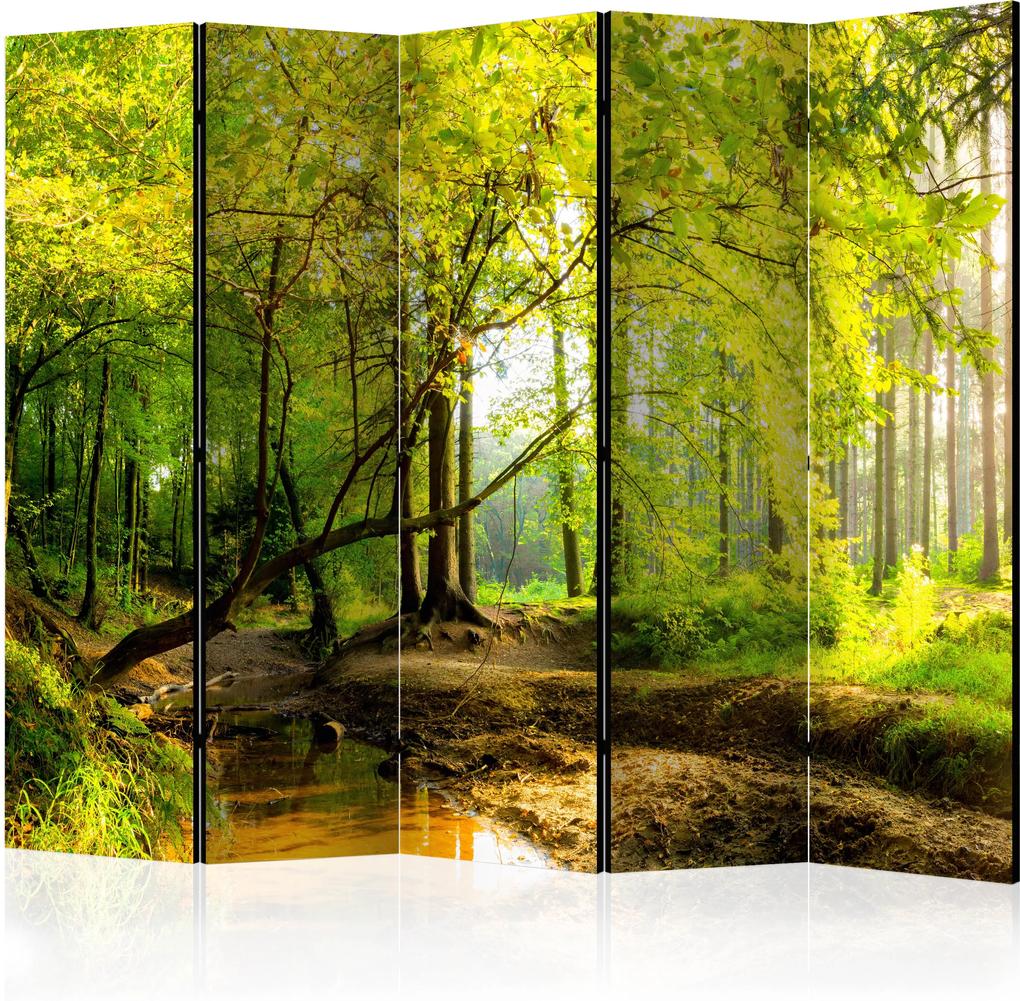 Paraván - Forest Clearing II [Room Dividers] 225x172