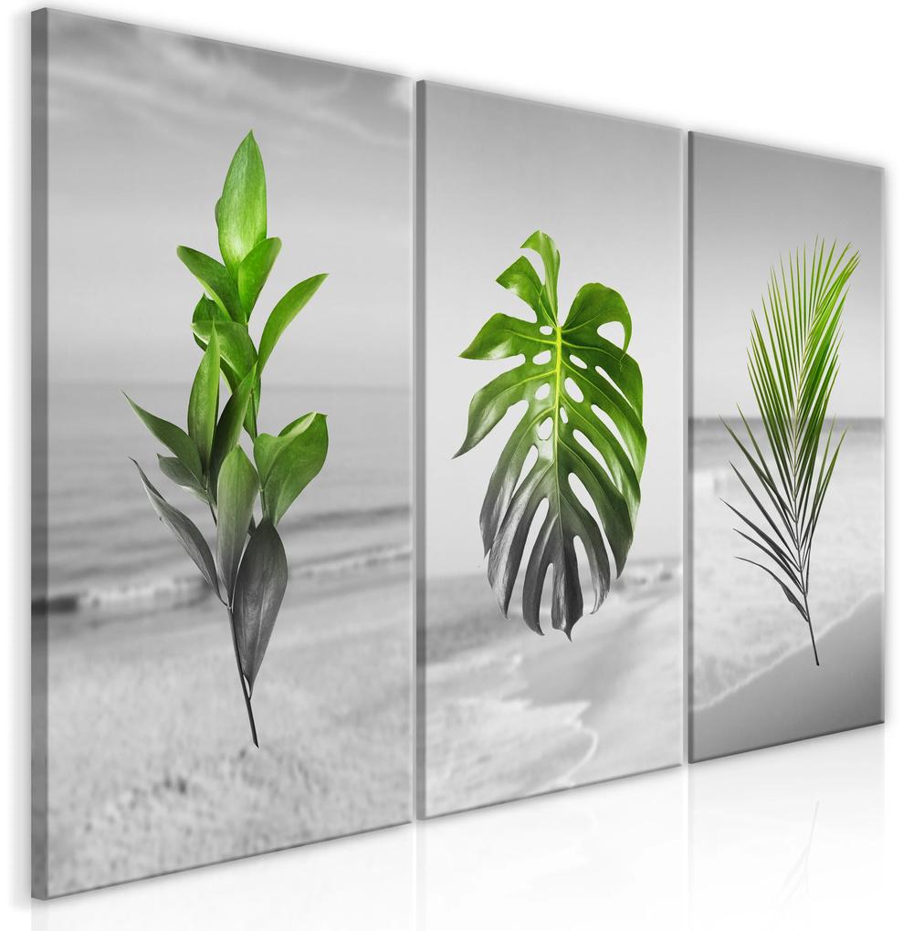 Artgeist Obraz - Plants (Collection) Veľkosť: 120x60, Verzia: Premium Print