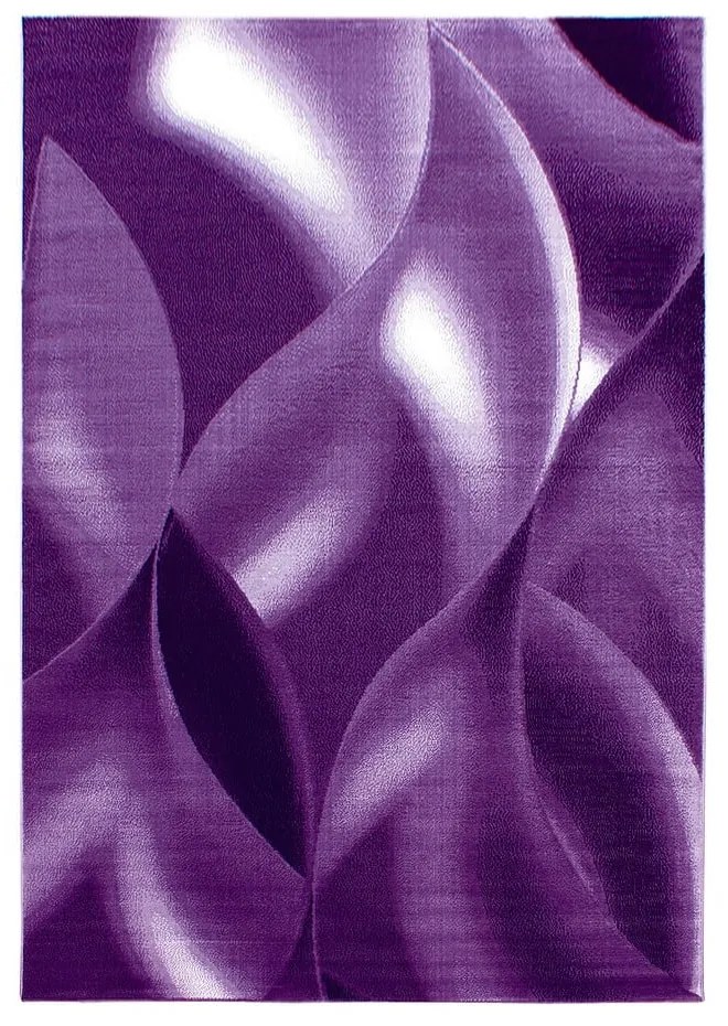 Fialový koberec 160x230 cm Plus – Ayyildiz Carpets