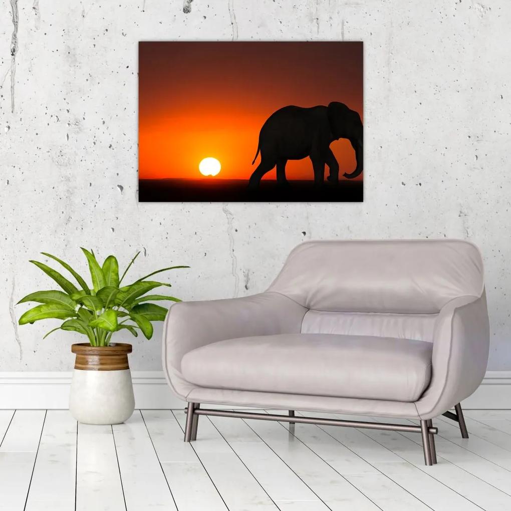 Sklenený obraz slona pri západe slnka (70x50 cm)