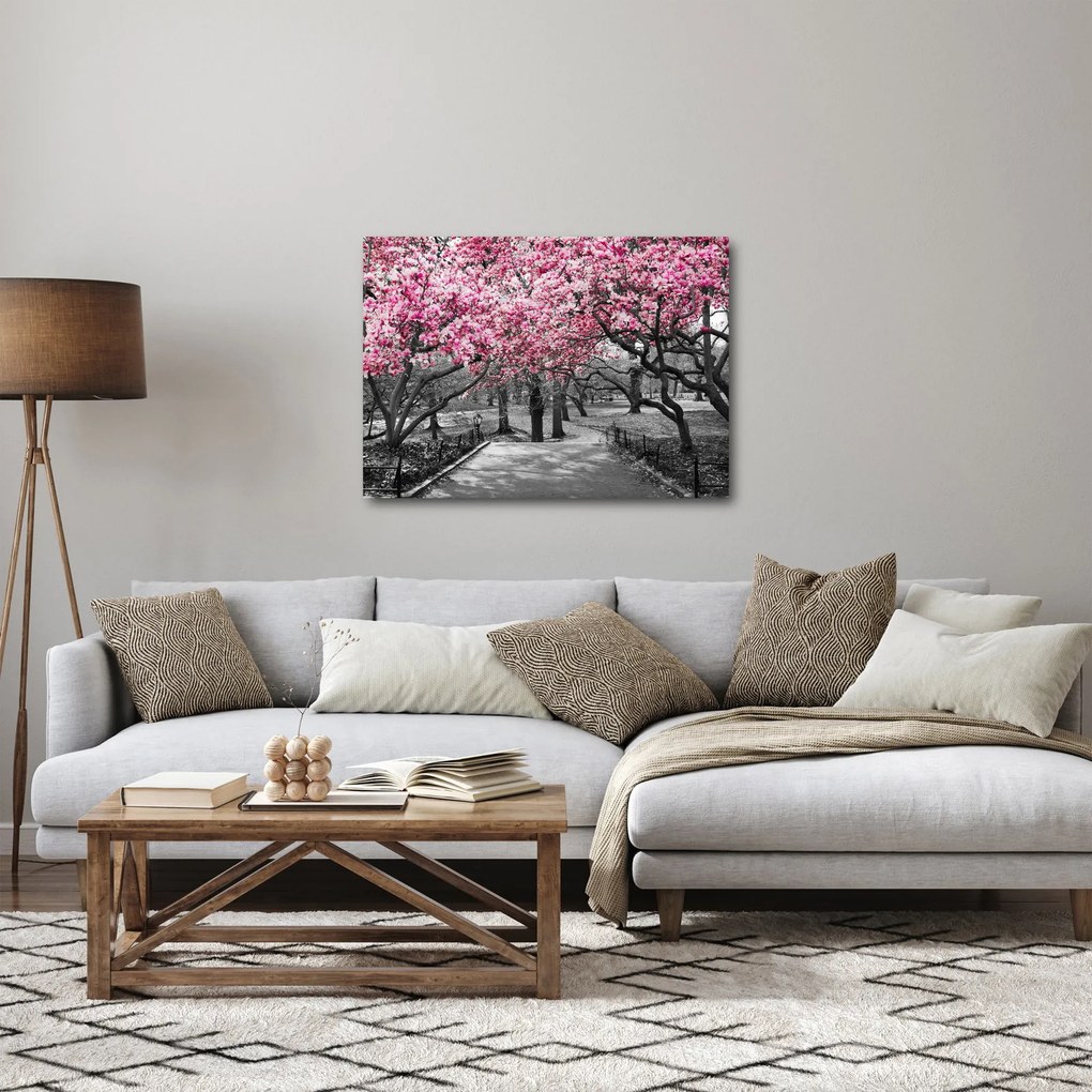 Obraz stromov Magnólie (70x50 cm)