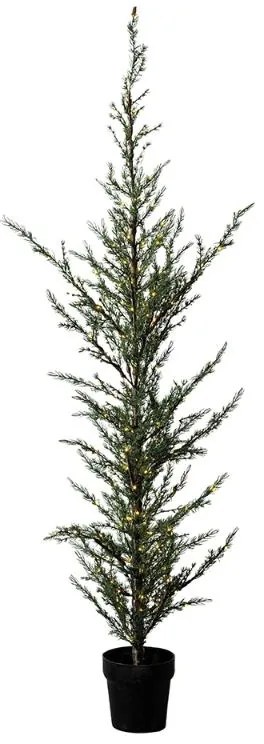 SIRIUS LED svetelný stromček v kvetináči Cedr, 190 cm