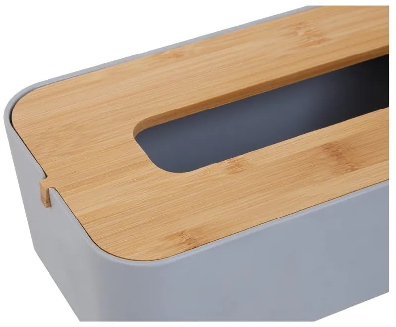 Plastový box na vreckovky Canyon – Premier Housewares