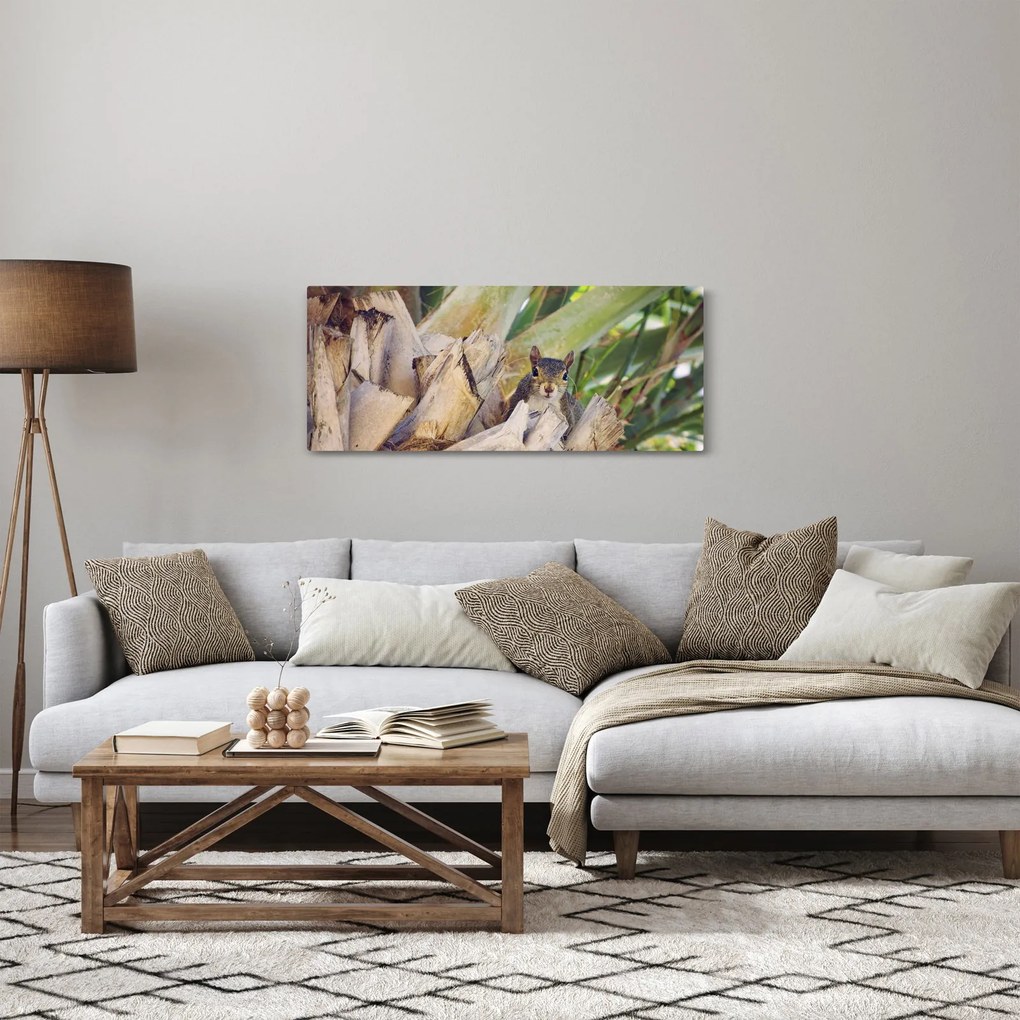 Obraz veveričky na strome (120x50 cm)